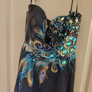 Cinderella Peacock Dress